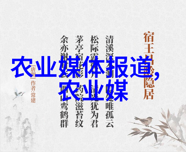 高清相亲探秘揭开爱情的第二场景