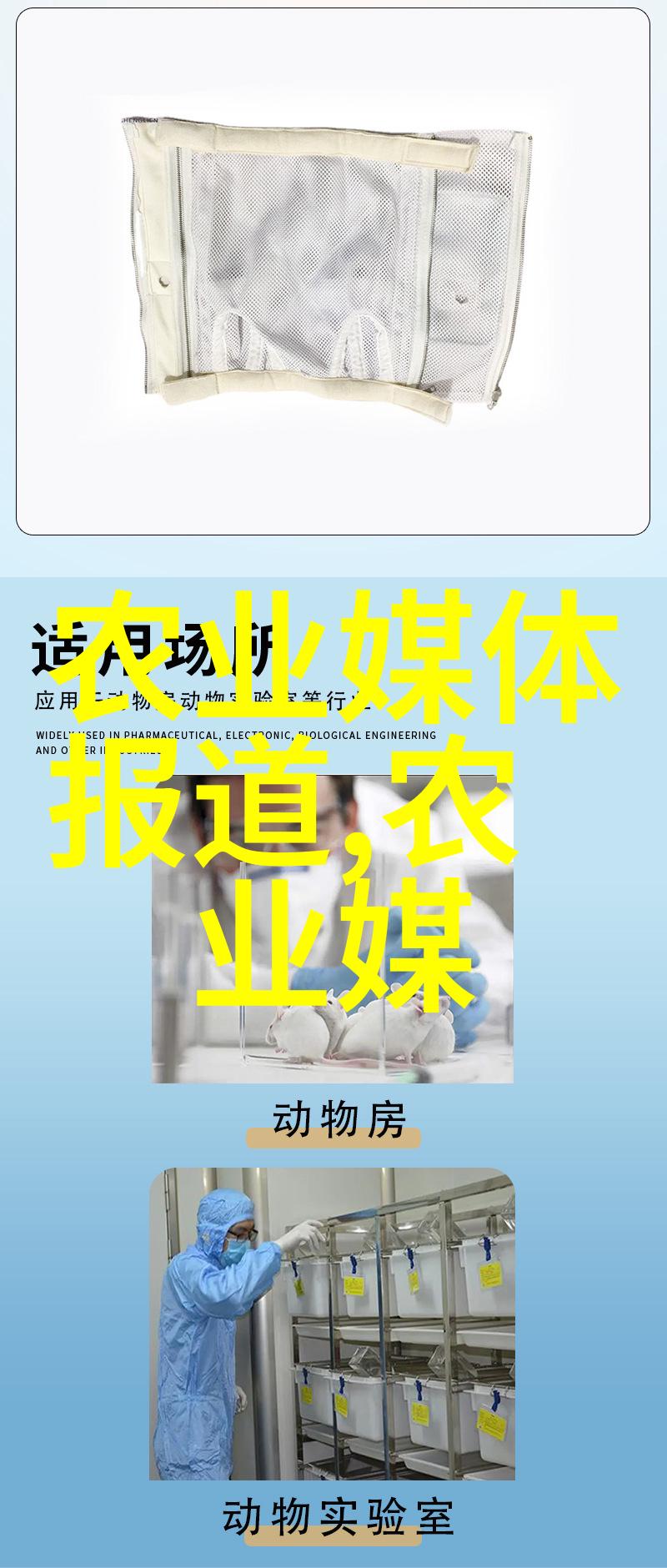 在农业节目中僵猪的治疗和促进其快速成长的方法引起了社会广泛关注