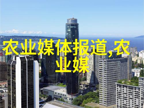 蜂巢管理与健康养护新视角