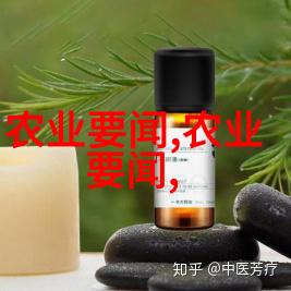 黄粉虫养殖技术高效种植方法与环境控制