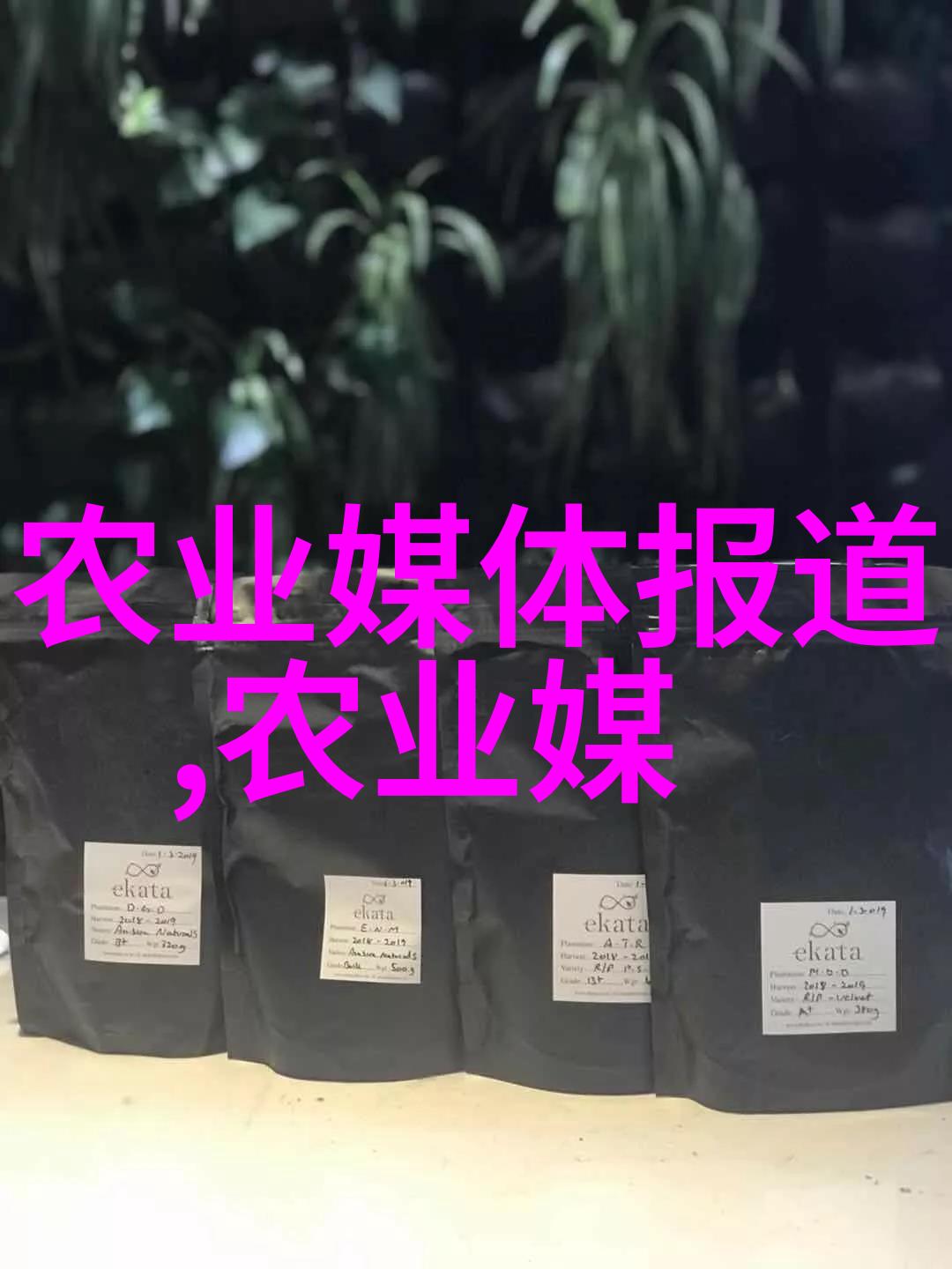 现代蔬菜大棚效果图绿色生态的未来种植模式