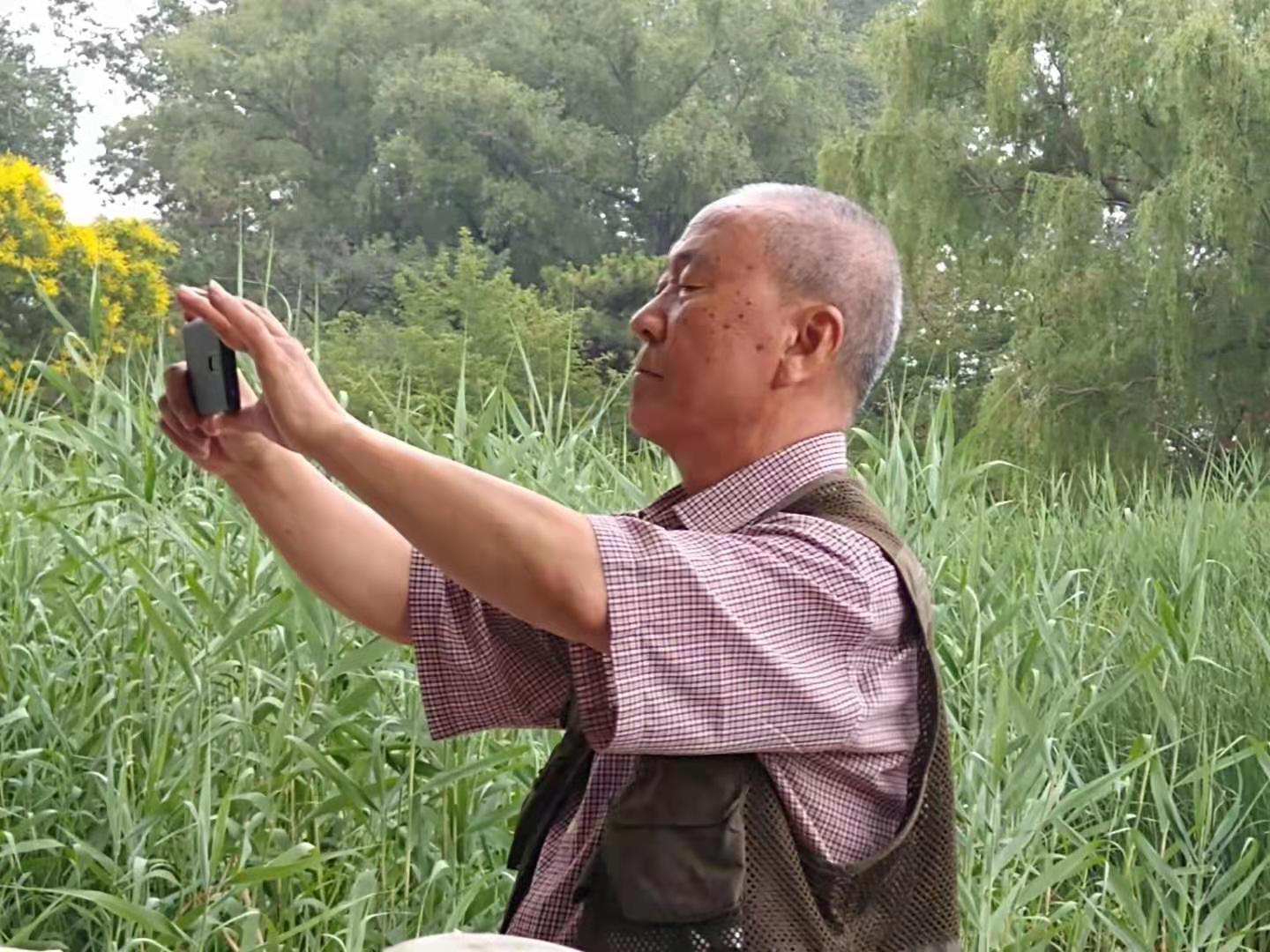 翩跹在花海蜜蜂的秘密生活