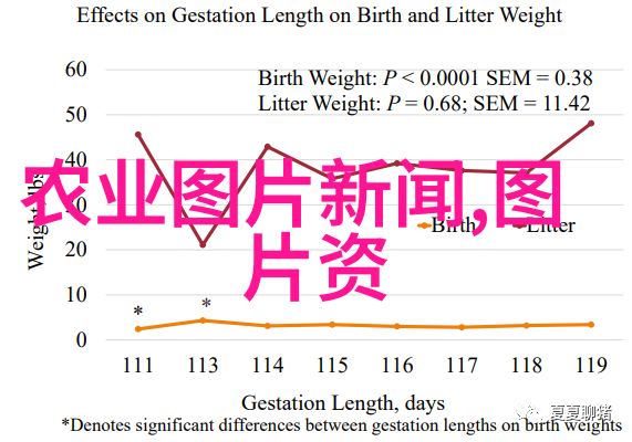 特种养殖-金钱蜂蜜探索高收益的特种养殖项目