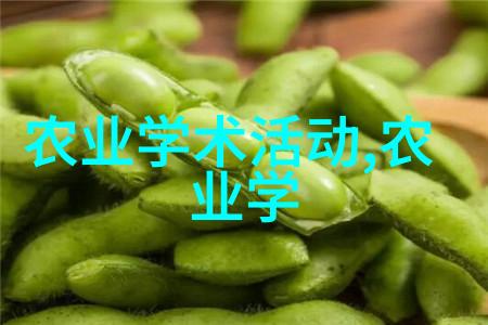 分享经历使用蜜蜂教学视频进行家庭学习的心得体会