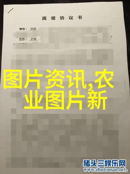 新型农业项目有哪些现代智能种植技术智慧农业垂直农场生物多样性保护区可持续水资源管理系统无人机作业平台