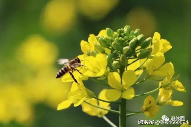 星际乱码之旅解密一二三区的神秘世界