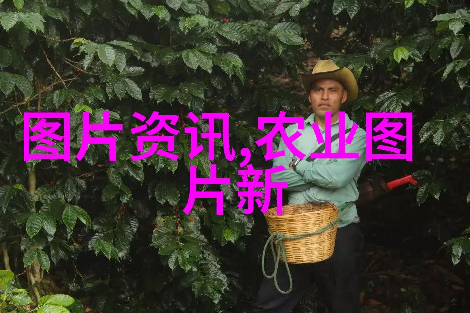 花卉种植知识与实践的融合校本教材的创新探索