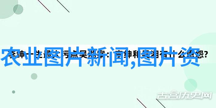 竹鼠养殖技术视频从基础到高级的全方位指南