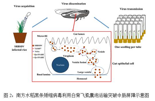 茶窝网品味生活的慢节奏空间