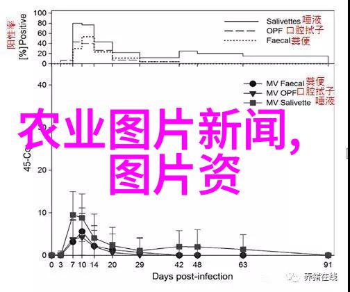 河南牧农机械制造有限公司-丰收之冠河南牧农机械的创新与成就