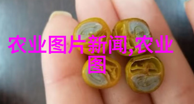 探索水域艺术观赏鱼养殖技术的精髓与实践