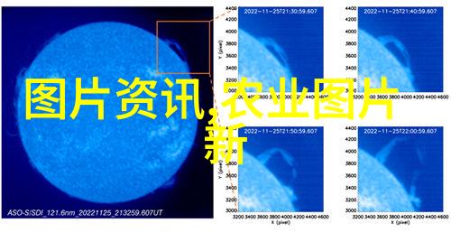 澳洲淡水龙虾当年养成技术