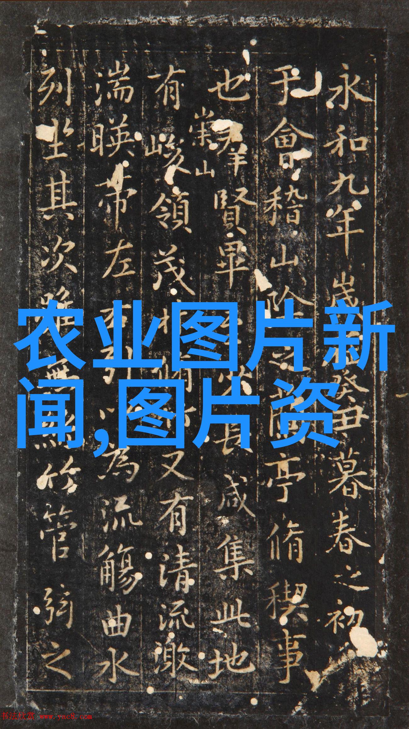 高效养殖市场热门项目赚钱快不愁销路