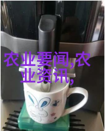 kyson与机器人未来科技的伙伴