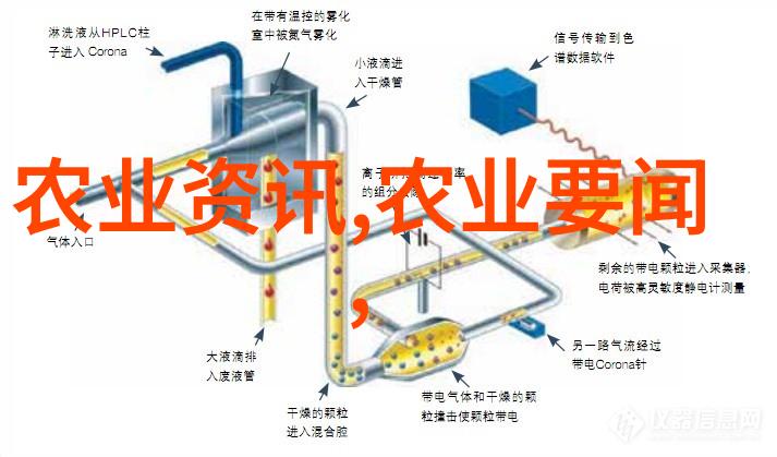 黄鳝养殖技术培训-提升养殖效率赚取丰厚利润