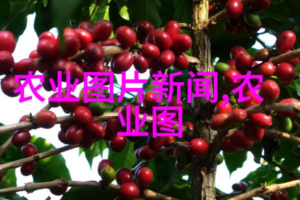 揭秘茶香探究茶叶中所含的多种成分与营养价值