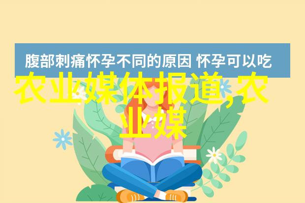 住房公积金新政从梦想破碎到温暖栖息的逆袭之旅