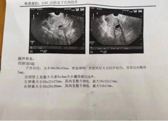 如何保证品质深入了解河南省最大水果和植物园所采取的一系列措施