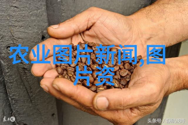 沁心悦目探索茶文化的深邃内涵与茶道精神的精髓