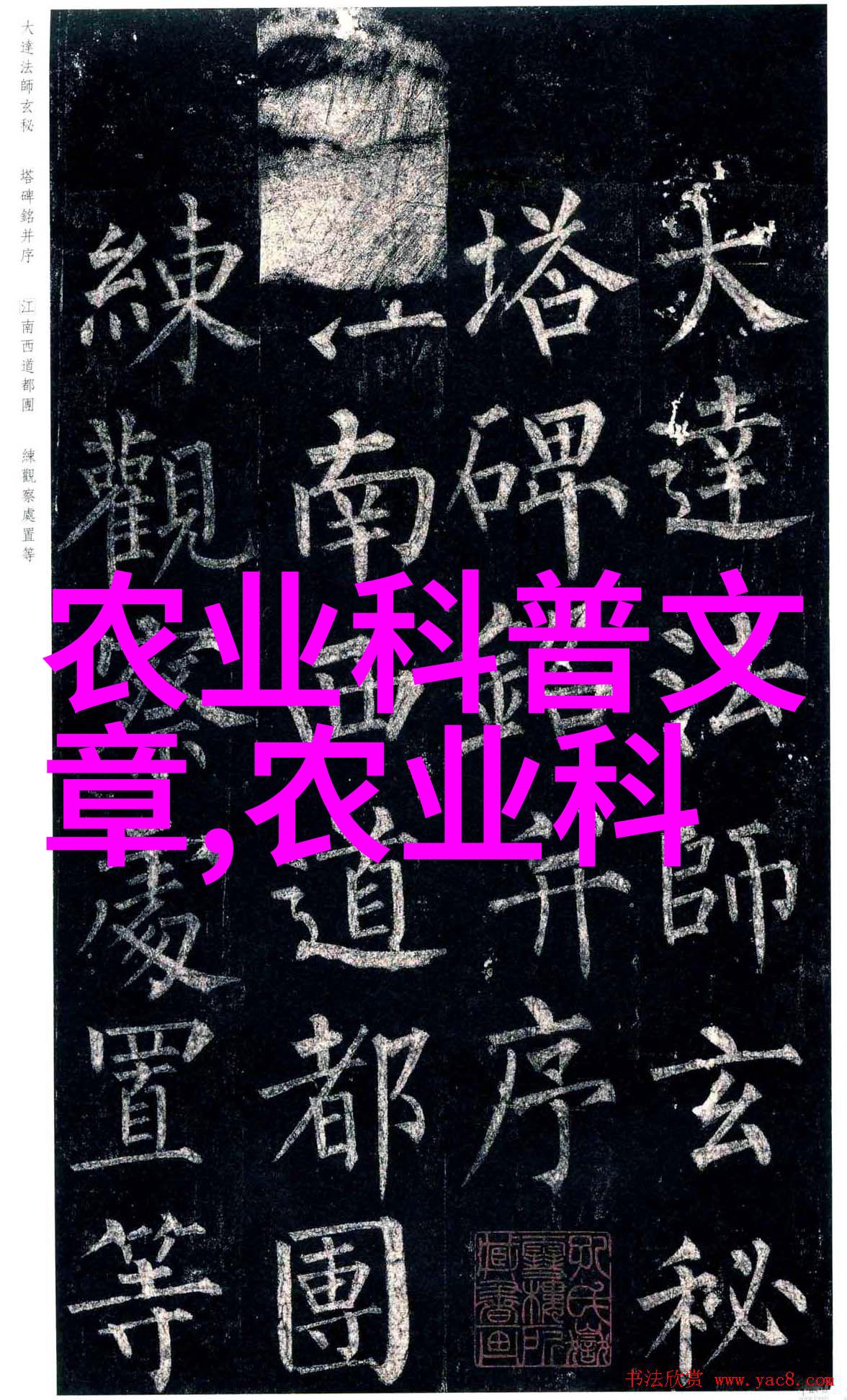 农业大学排名 - 全球最佳农业学院揭秘最新排名榜单