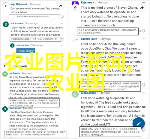 黄牛养殖牛苗批发高效增产的智慧之选