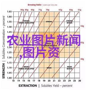 茶文化的概念 - 品味悠然探索茶文化的深邃之美