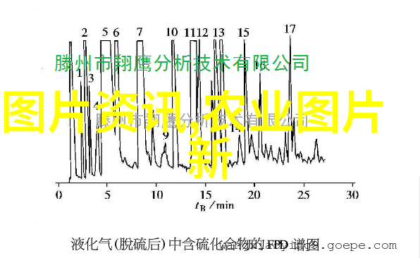 拔萝卜电视剧高清免费观看全集