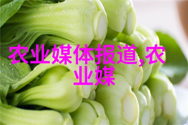 小型微耕机我的菜园秘密武器