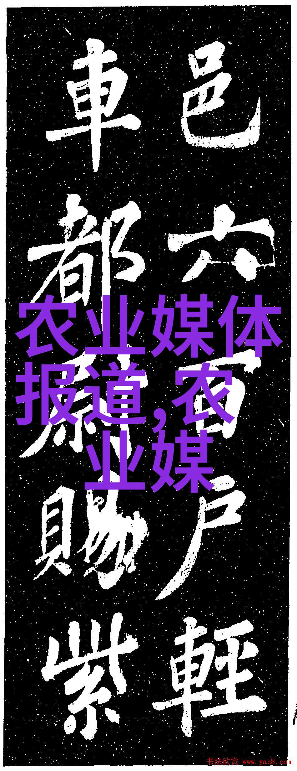 全国猪价格今日生猪价最新表揭秘市场动态与农民利润空间