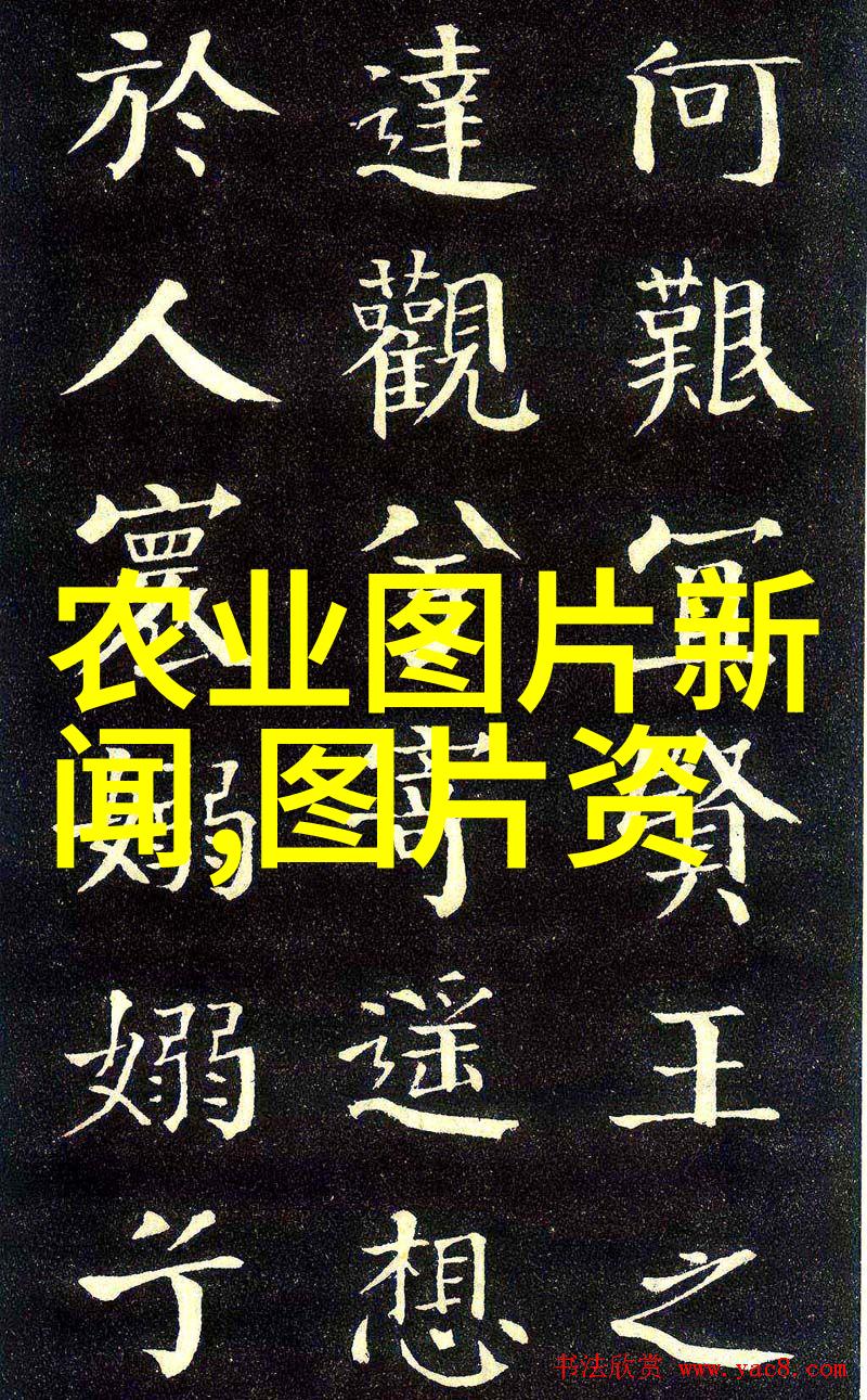 建个花卉大棚挣钱吗来看看我是如何赚钱的