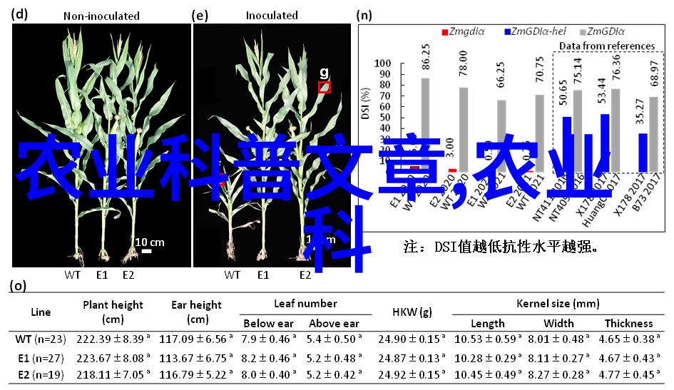 新发现的微生物种类揭开地表最深层土壤中未知菌类的奥秘