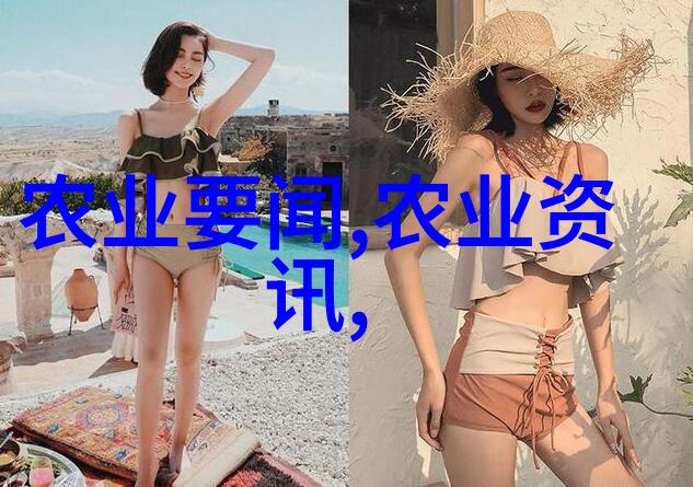 蜂王之旅诱蜂箱能召唤几公里外的蜜蜂如何快速寻找这位重要的女王