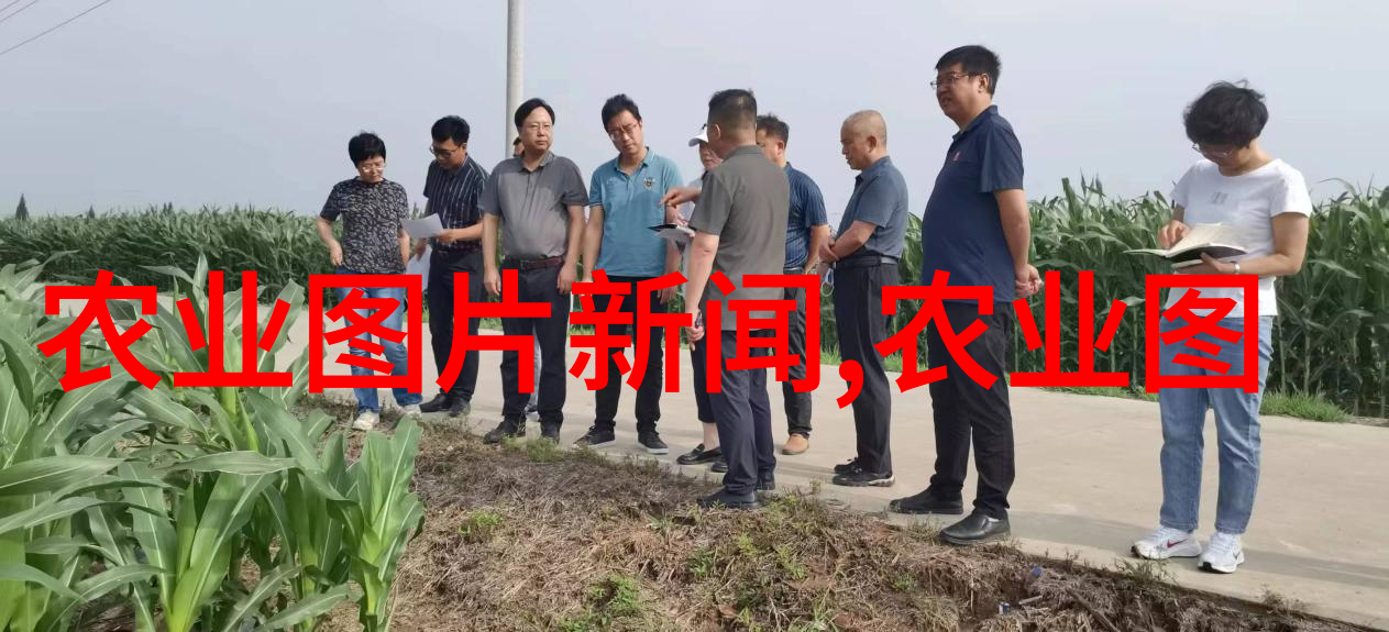 药材种苗批发市场活跃满足国人健康需求的绿色选择