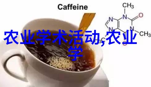 两个人的桌面共享一人分食的美味早餐温馨的家庭时光