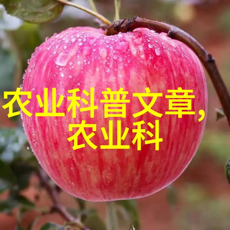 神奇养蜂技术-蜜源之谜揭秘神奇养蜂技艺的奥秘