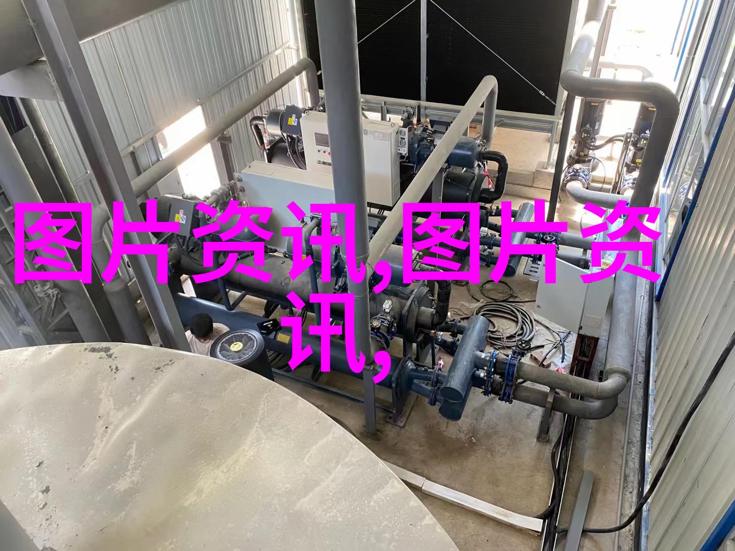 小白菜育苗移植方法建二亩地大棚多少钱