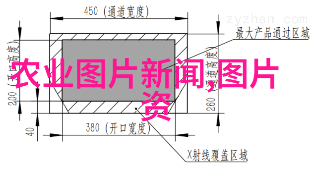 嫁接技巧详解如何选择合适的苗木与树枝