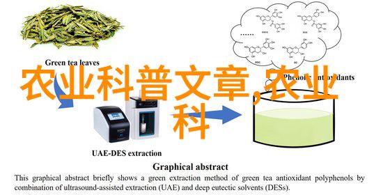 中药材种植技术培训我来教你怎么种出名贵的中药材