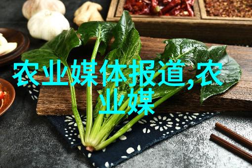 牛群管理与饲养技巧精讲