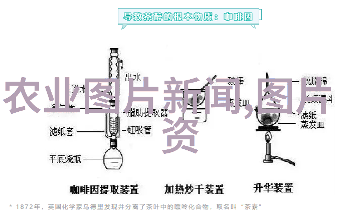 种药材哪样又快又赚钱莲藕地蛆与斜纹夜蛾防治秘籍