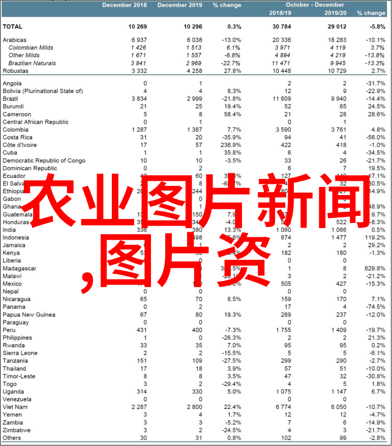 水果园艺新手的选择简单种植易于管理的水果