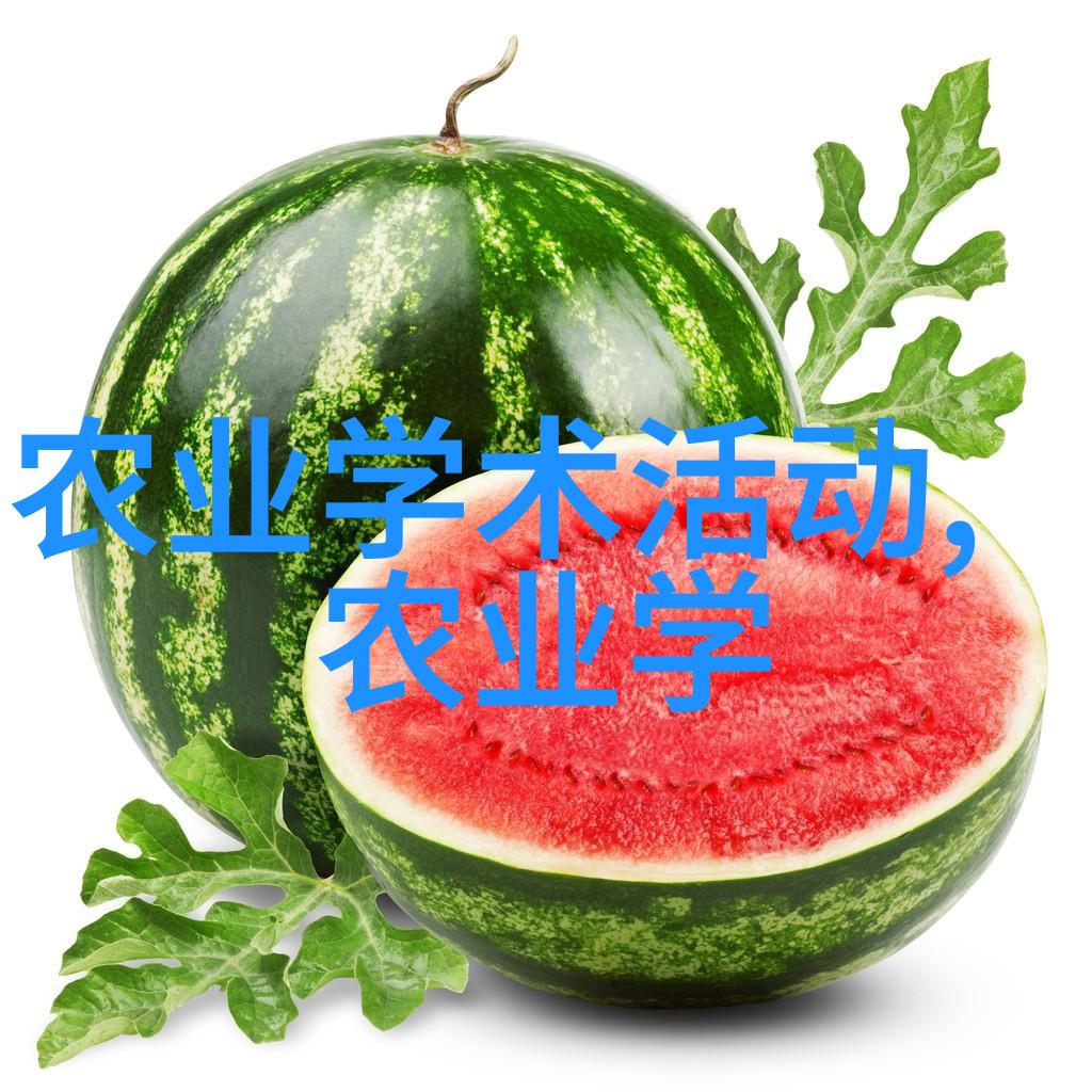 农业蔬菜种植网高效的现代农业技术与传统种植方法的结合