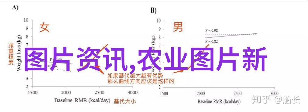 养羊需要什么技术我来告诉你点儿要啥样的技巧