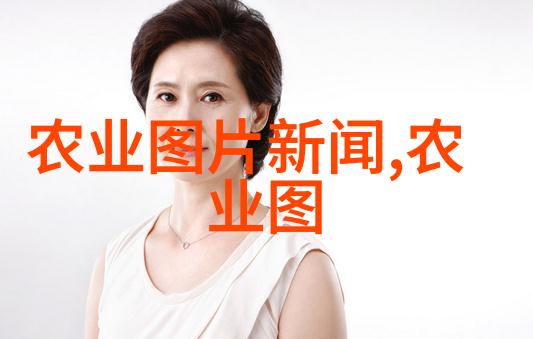 白云山红叶银杏节苗木树苗的秘密开放之日将至等待你的探索