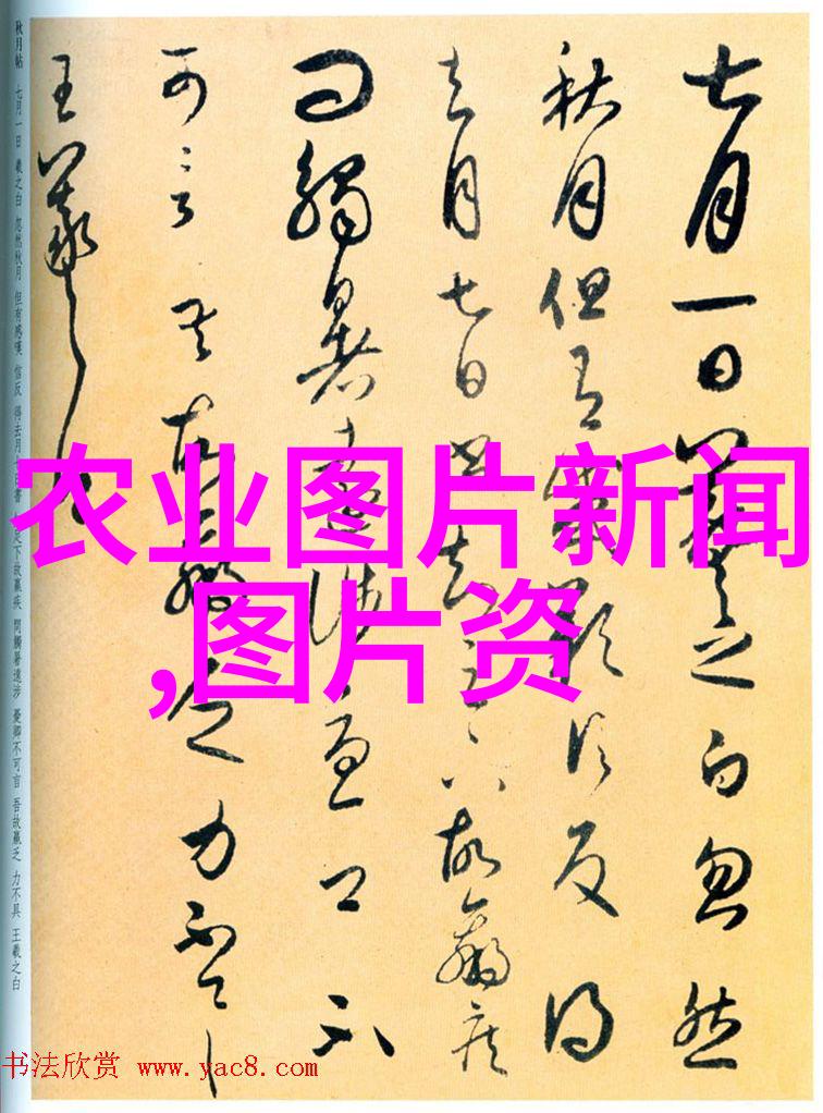 二手拖拉机交易市场我是怎么在二手市场上找到了那台完好无损的老拖拉机的