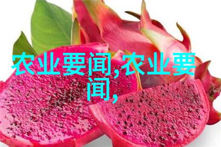 打造花园香气马蜂诱蜂水的制作步骤有哪些关键环节