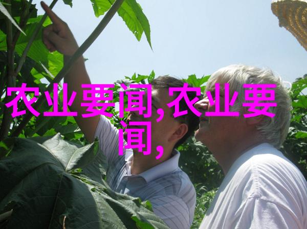 社会需求与个人兴趣如何协调帮助女性在挑选大专课程时作出明智决定