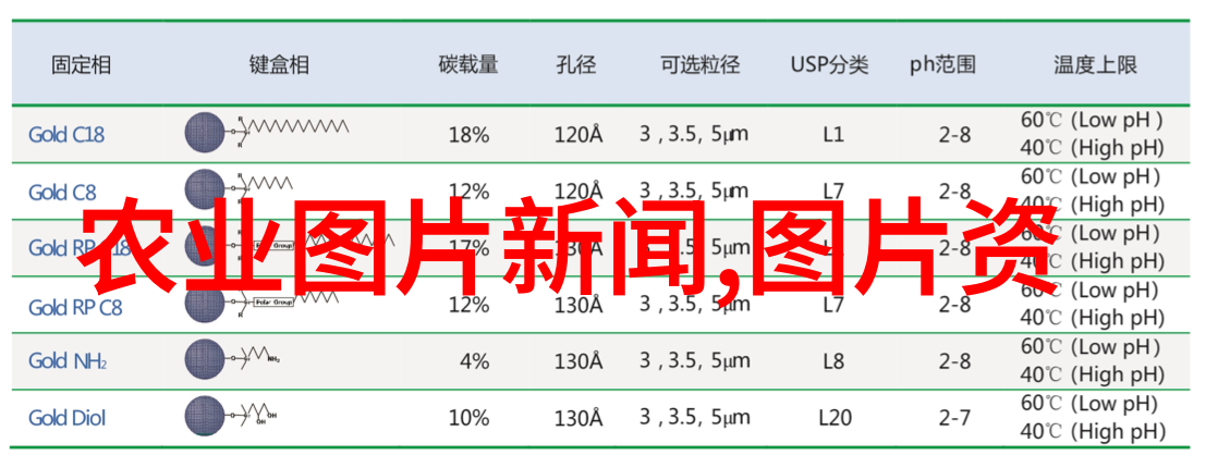 主题-甲虫花园的巴掌印记