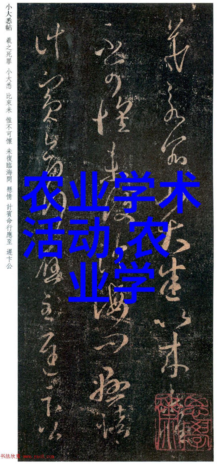 法律法规全解析从宪法到行政法详尽探索国家治理体系中的各项规范