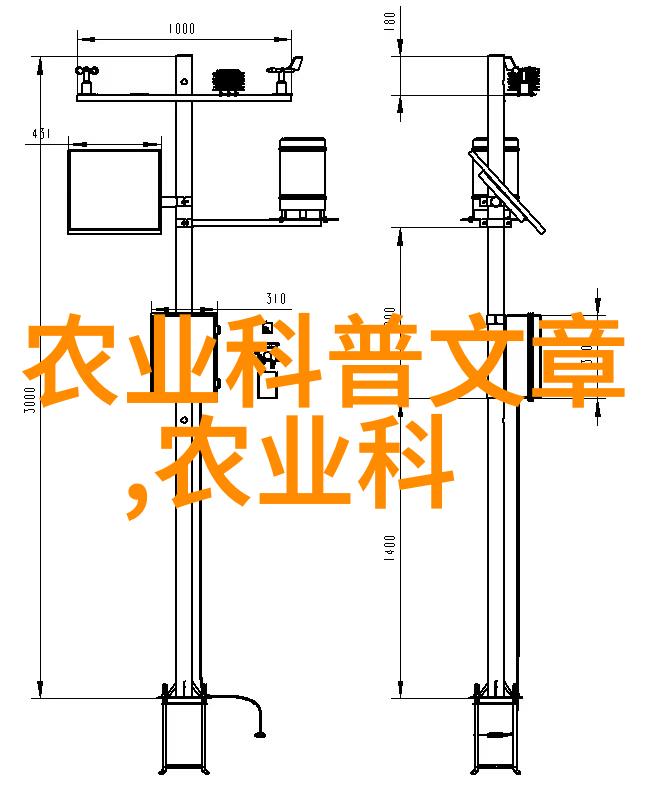 党的中央组织领航者与引领之光